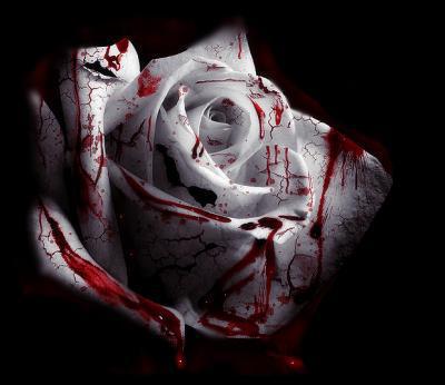 [REC]